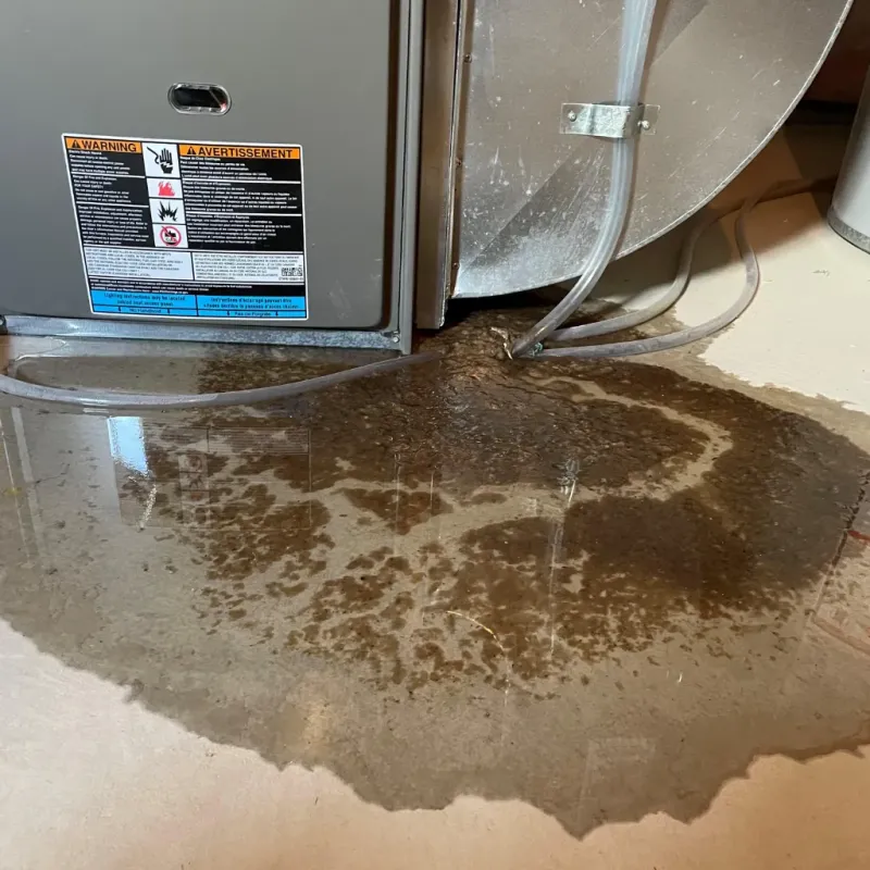 Appliance Leak Cleanup in Mason County, WV