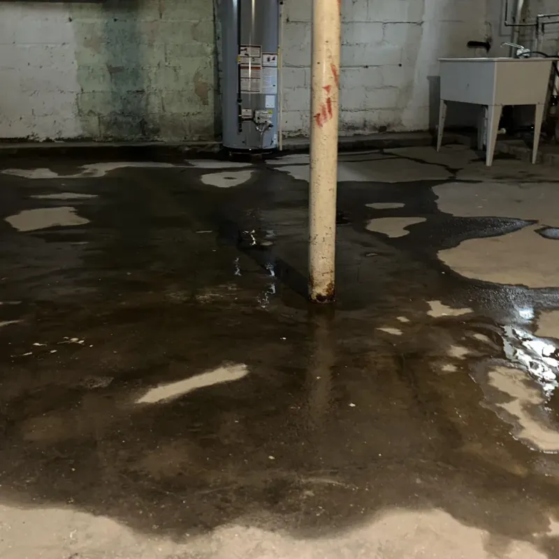 Emergency Water Extraction And Removal in Mason County, WV